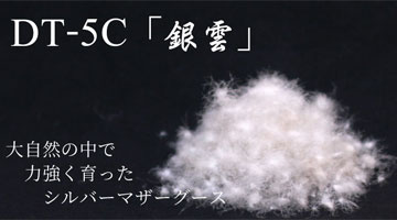 Vo[}U[O[X_E95