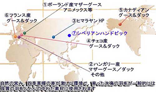 キングサイズ羽毛布団のダウンの産地