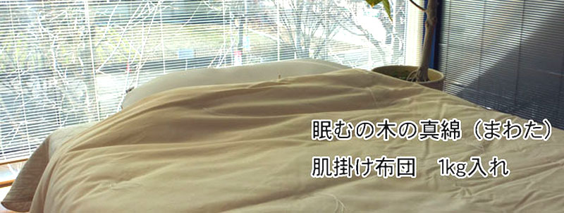 真綿肌掛け布団