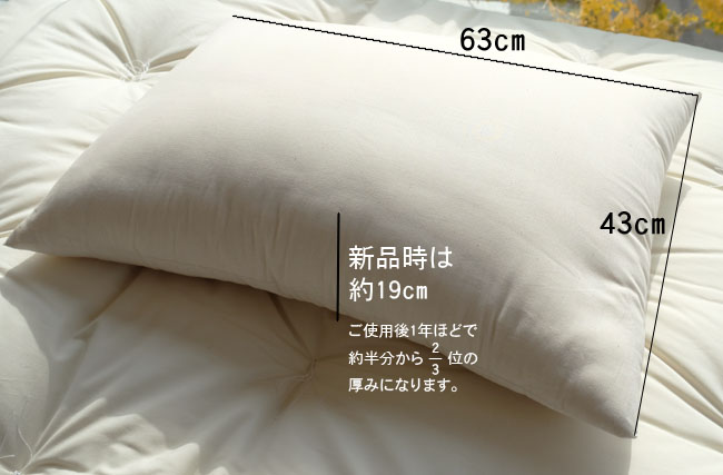 CottonPillow