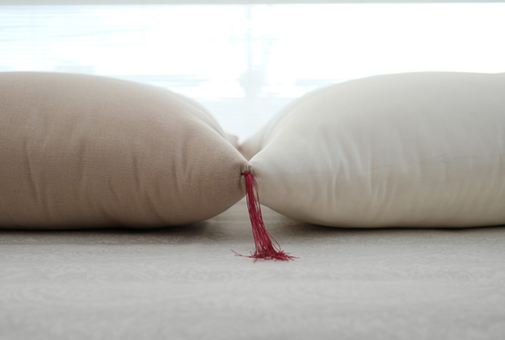 �{�����[���̂�����z�c