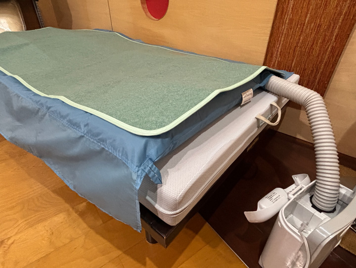 �����V�[�g