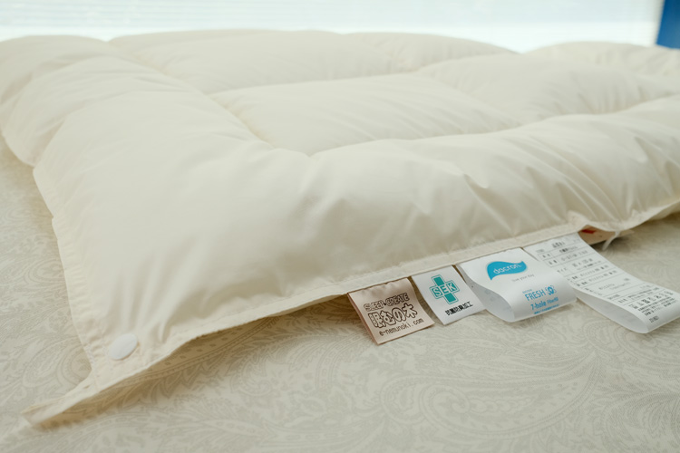 �Ԃ����pQT-M�E2�̍��z�c