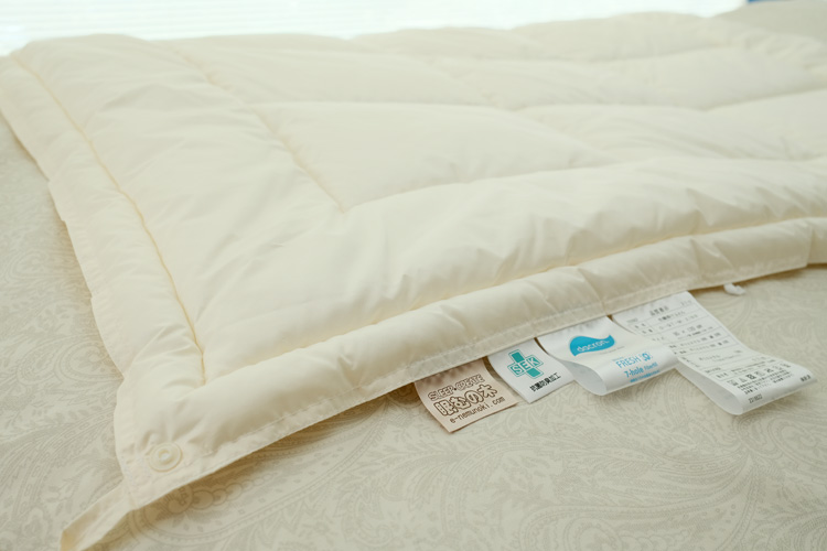 �Ԃ����pQT-M�E2�̔��z�c