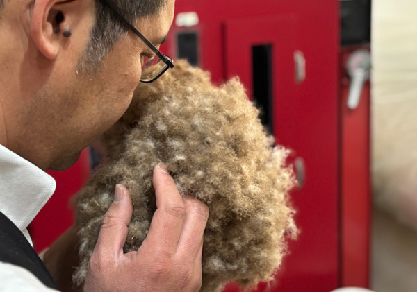 羽毛のニオイについて