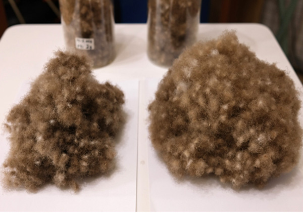 アイダーダックダウンのリフォーム