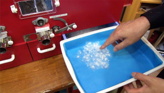 �H�ѕz�c�̑ł�����