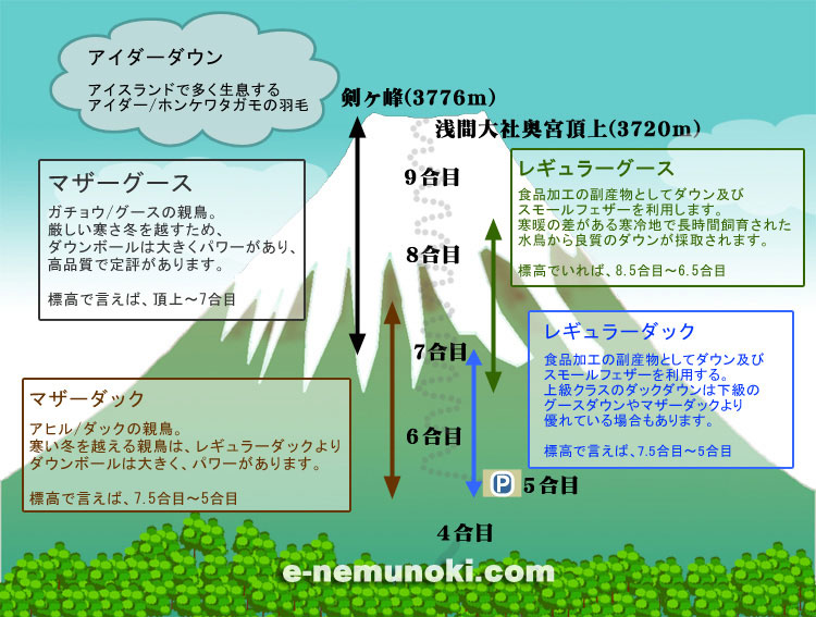 羽毛布団の選び方豆知識