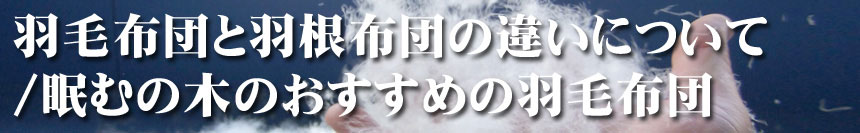 羽毛布団の選び方
